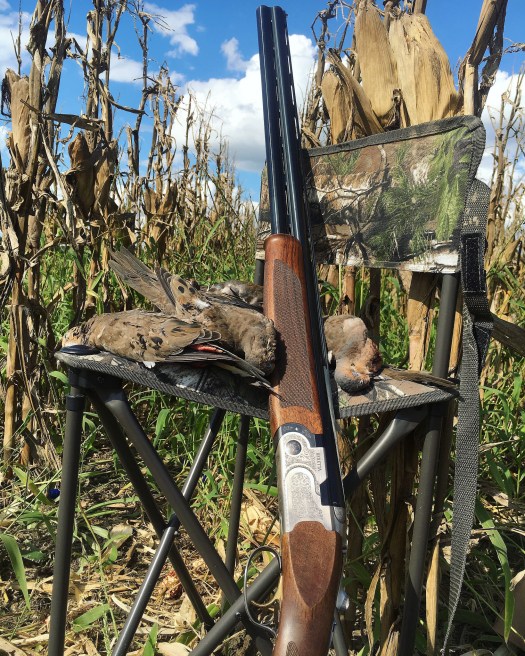 29039295844_88a37a69dc_k