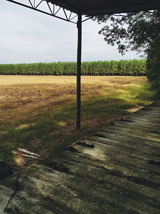 29953018085_9421787bac_k