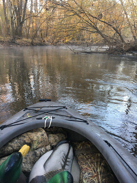 30415174764_74c8817618_z