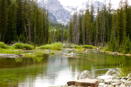 14512186665_1330a8bbb3_k