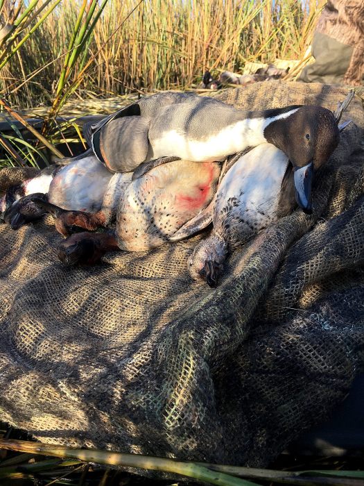 30751191923_93d58b067b_k