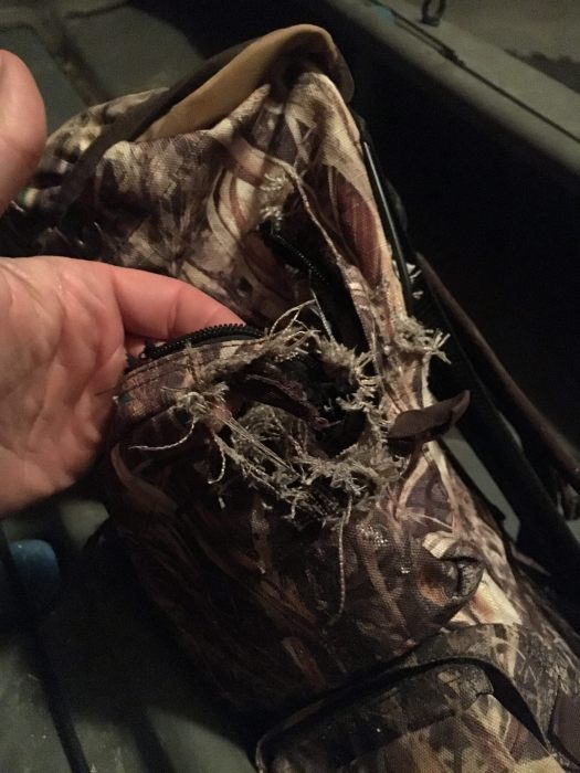 31560556715_9957bb9b11_k