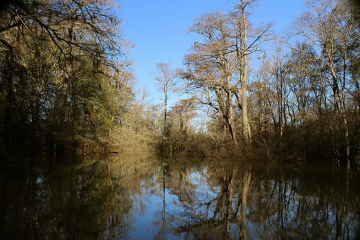 14636587580_6fde2a3240_z